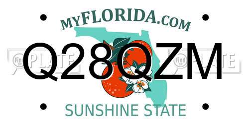 Q28QZM Florida License Plate