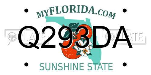 Q293DA Florida License Plate