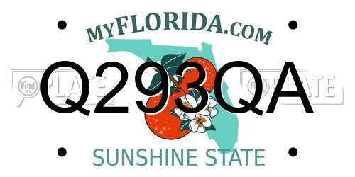 Q293QA Florida License Plate
