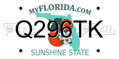 Q296TK Florida License Plate