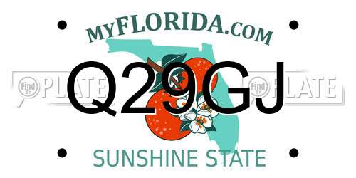 Q29GJ Florida License Plate