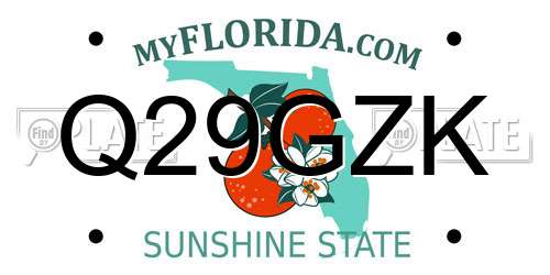 Q29GZK Florida License Plate