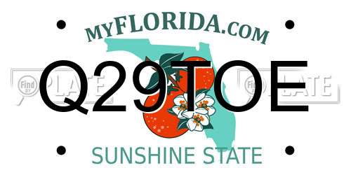 Q29TOE Florida License Plate
