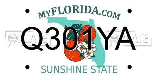 Q301YA Florida License Plate