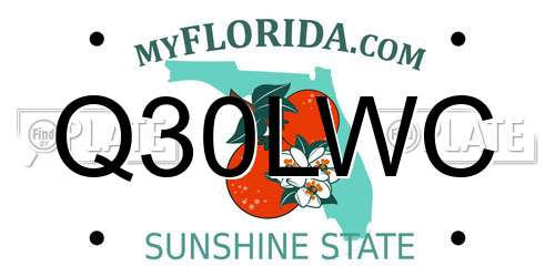Q30LWC Florida License Plate