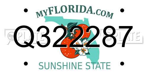 Q322287 Florida License Plate