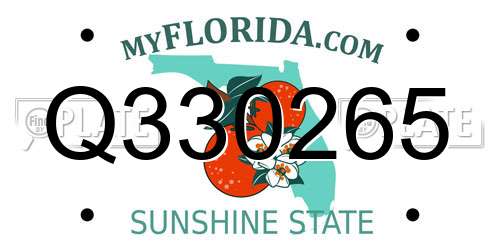 Q330265 Florida License Plate