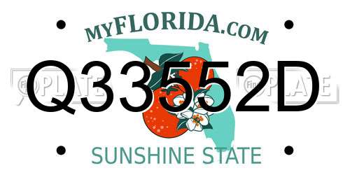 Q33552D Florida License Plate