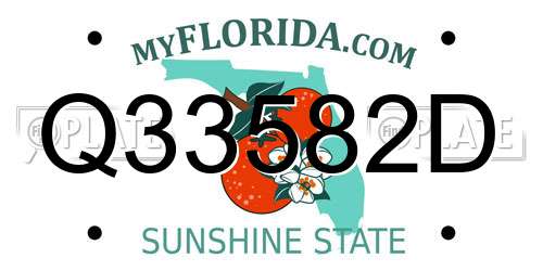 Q33582D Florida License Plate