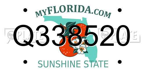 Q338520 Florida License Plate