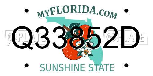 Q33852D Florida License Plate