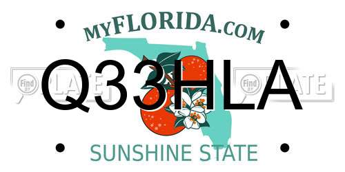 Q33HLA Florida License Plate