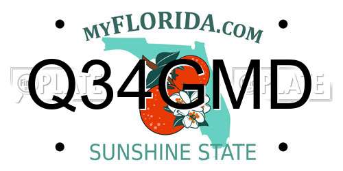 Q34GMD Florida License Plate