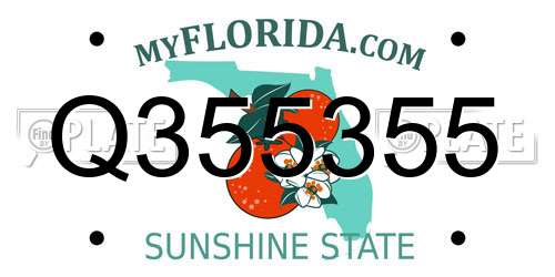 Q355355 Florida License Plate