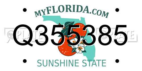 Q355385 Florida License Plate
