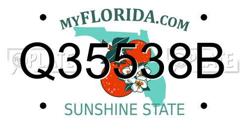 Q35538B Florida License Plate