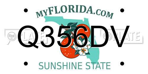 Q356DV Florida License Plate
