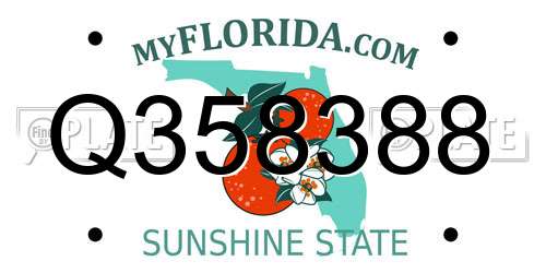 Q358388 Florida License Plate