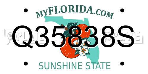 Q35838S Florida License Plate
