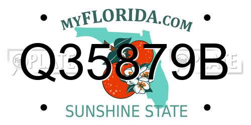 Q35879B Florida License Plate