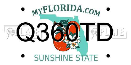 Q360TD Florida License Plate