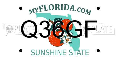Q36GF Florida License Plate