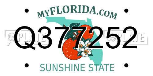 Q377252 Florida License Plate
