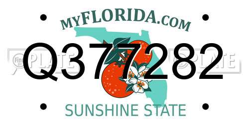 Q377282 Florida License Plate