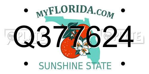 Q377624 Florida License Plate