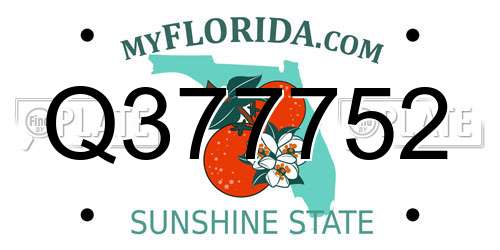 Q377752 Florida License Plate