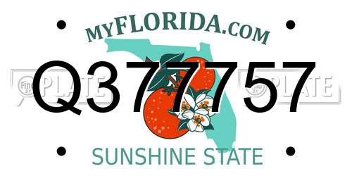 Q377757 Florida License Plate