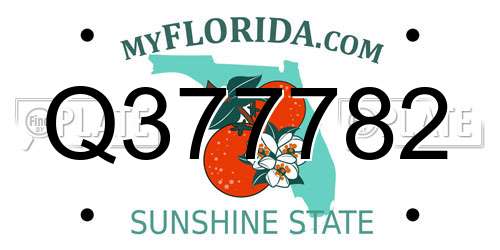 Q377782 Florida License Plate