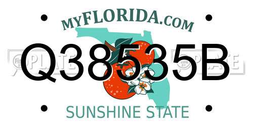 Q38535B Florida License Plate