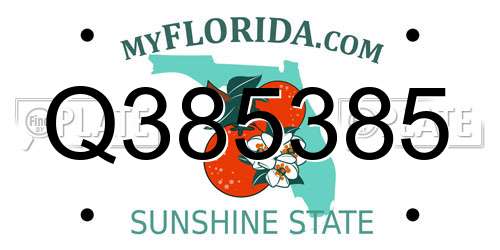Q385385 Florida License Plate