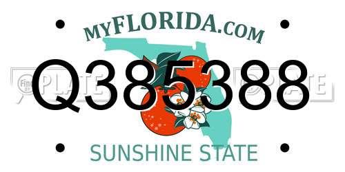 Q385388 Florida License Plate