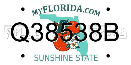 Q38538B Florida License Plate