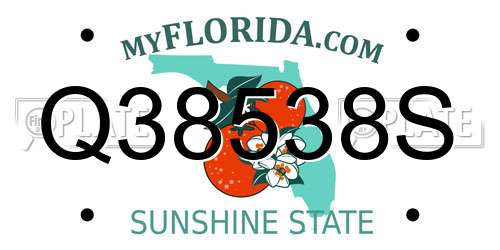 Q38538S Florida License Plate