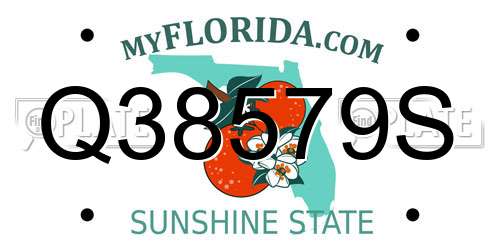 Q38579S Florida License Plate