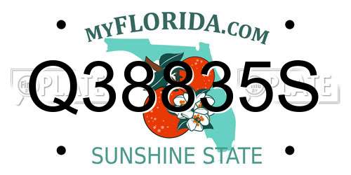 Q38835S Florida License Plate