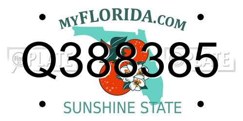 Q388385 Florida License Plate