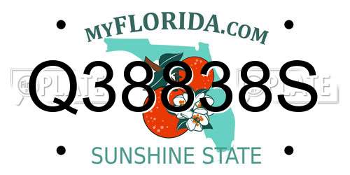 Q38838S Florida License Plate