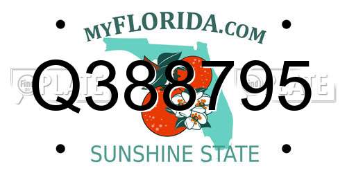 Q388795 Florida License Plate