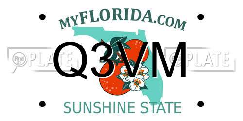 Q3VM Florida License Plate