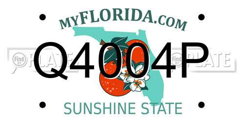 Q4004P Florida License Plate