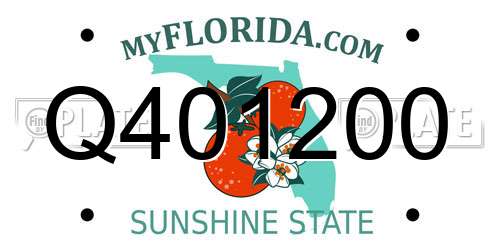 Q401200 Florida License Plate