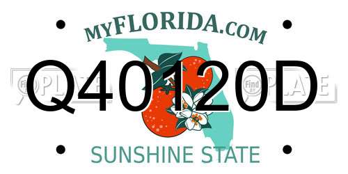 Q40120D Florida License Plate