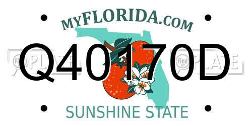 Q40170D Florida License Plate