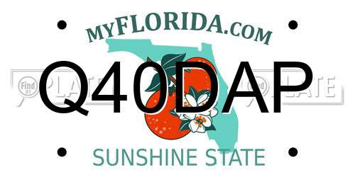 Q40DAP Florida License Plate