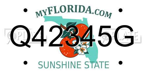 Q42345G Florida License Plate