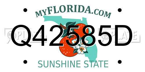 Q42585D Florida License Plate